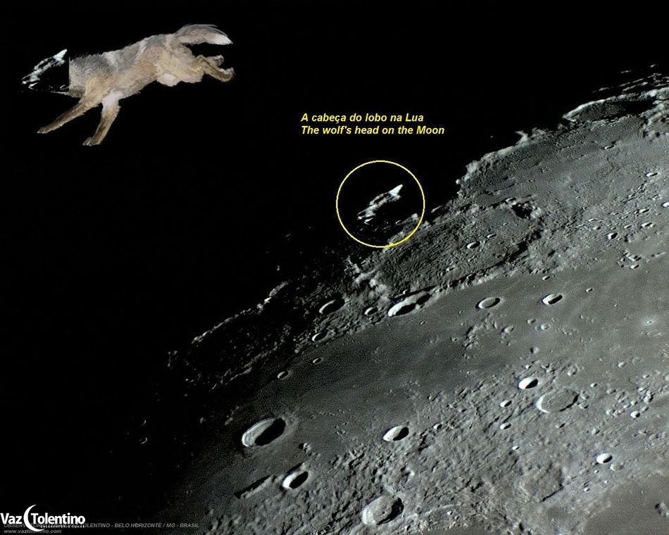 The_head_of_the_wolf_-_crater_anaximander_d_1