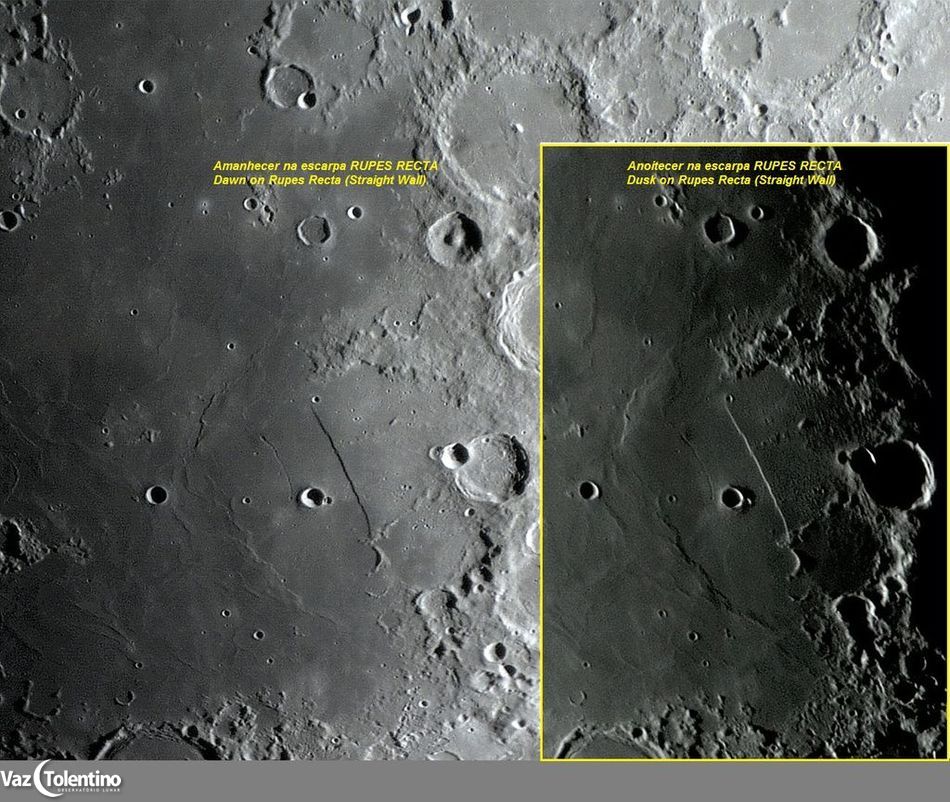 Image_290_88_composi%c3%a7%c3%a3o2a_site2